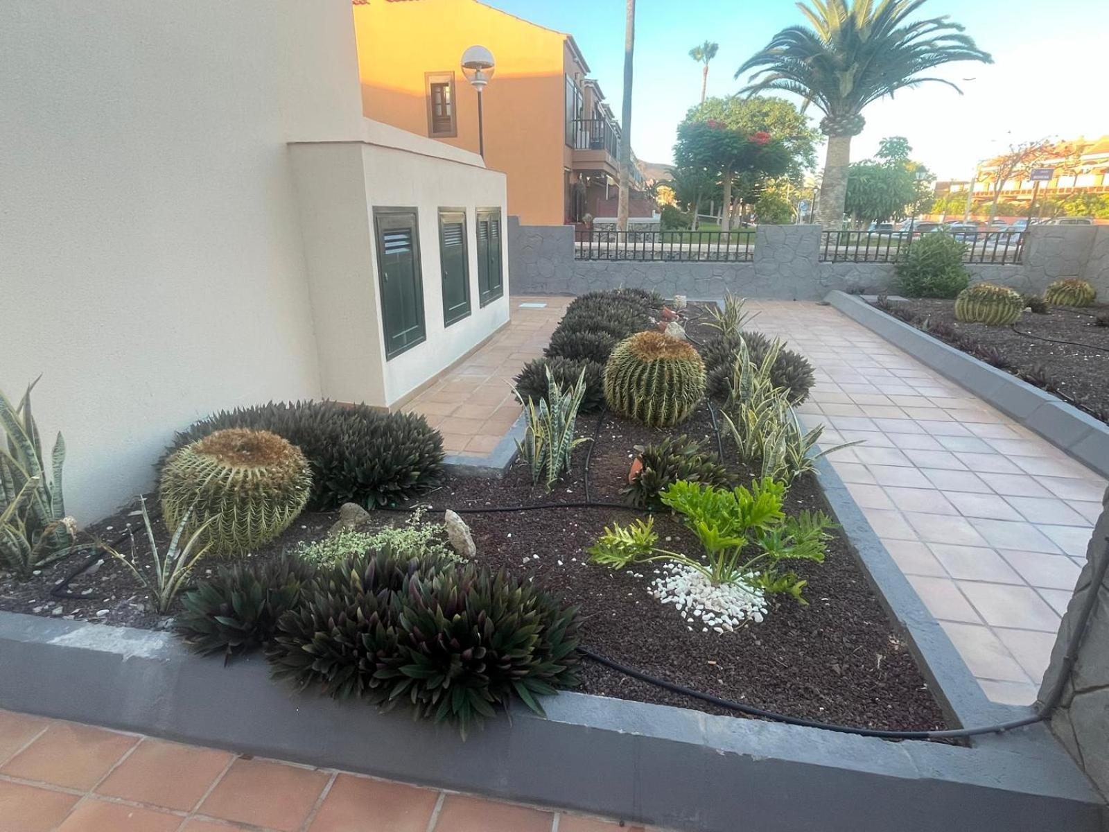 Casa Montana Amarilla 60 Costa Del Silencio Exterior foto